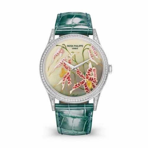 Patek Philippe Calatrava 5077 White Gold / Diamond / Orchids 5077/100G-032 — фото часов Patek Philippe Calatrava 5077 White Gold / Diamond / Orchids 5077/100G-032 — фото часов
