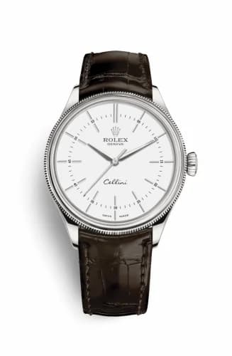 Rolex Cellini Time White Gold / White / Alligator Brown 50509-0017 — фото часов Rolex Cellini Time White Gold / White / Alligator Brown 50509-0017 — фото часов