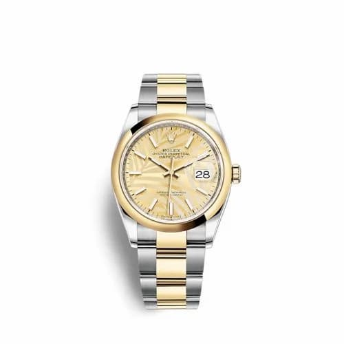 Rolex Datejust 36 Stainless Steel / Yellow Gold / Smooth / Golden Palm / Oyster 126203-0038 — фото часов Rolex Datejust 36 Stainless Steel / Yellow Gold / Smooth / Golden Palm / Oyster 126203-0038 — фото часов