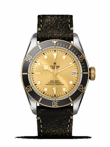Tudor Heritage Black Bay Black S&G / Stainless Steel / Yellow Gold / Champagne / Strap 79733N-0003