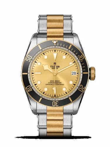 Tudor Heritage Black Bay Black S&G / Stainless Steel / Yellow Gold / Champagne / Bracelet 79733N-0004