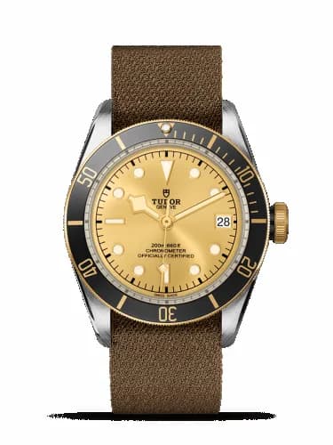Tudor Heritage Black Bay Black S&G / Stainless Steel / Yellow Gold / Champagne / Fabric 79733N-0006