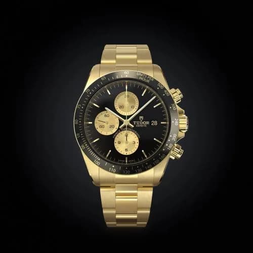 Tudor Prince Chronograph One / Only Watch 2023 9420/801